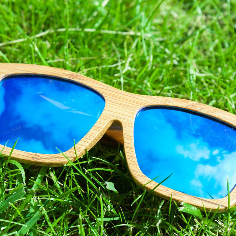 Blue Jungle sunglasses