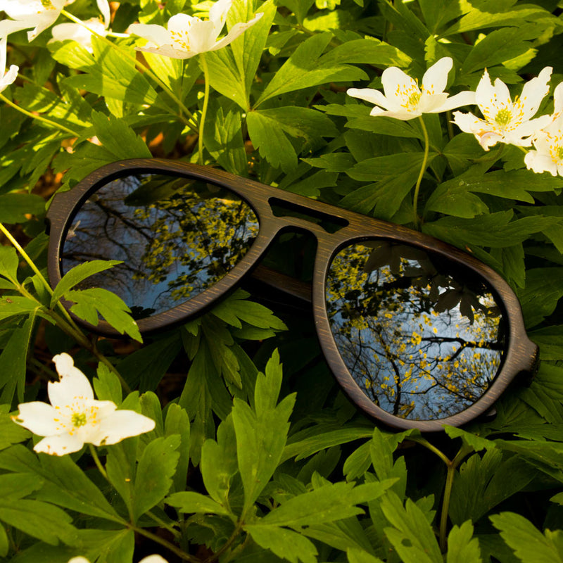 Dark Bamboo Sunglasses laying in Flowers