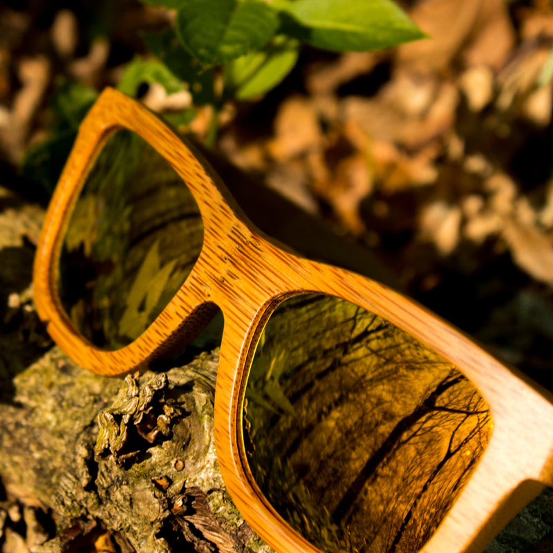 Orange Jnglst Sunglasses made from Bamboo